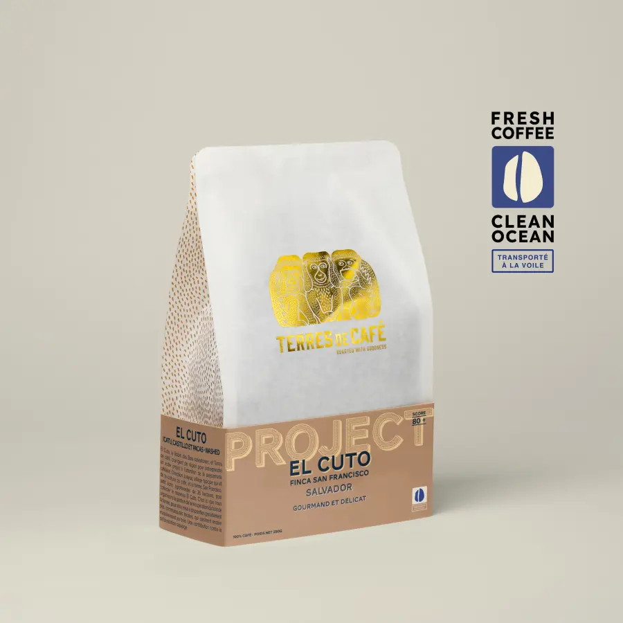 Coffee El Cuto | Speciality Coffee | Buy Online