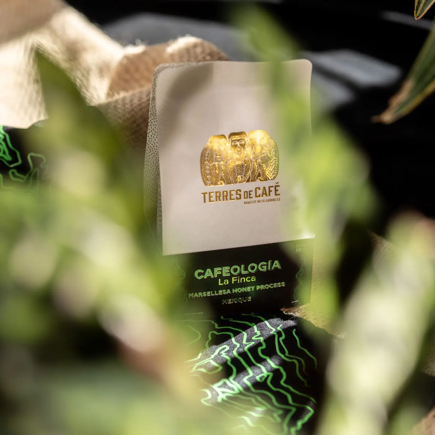 Specialty Coffee | Cafeología, La Finca Marsellesa Honey Process Coffee | Online Store
