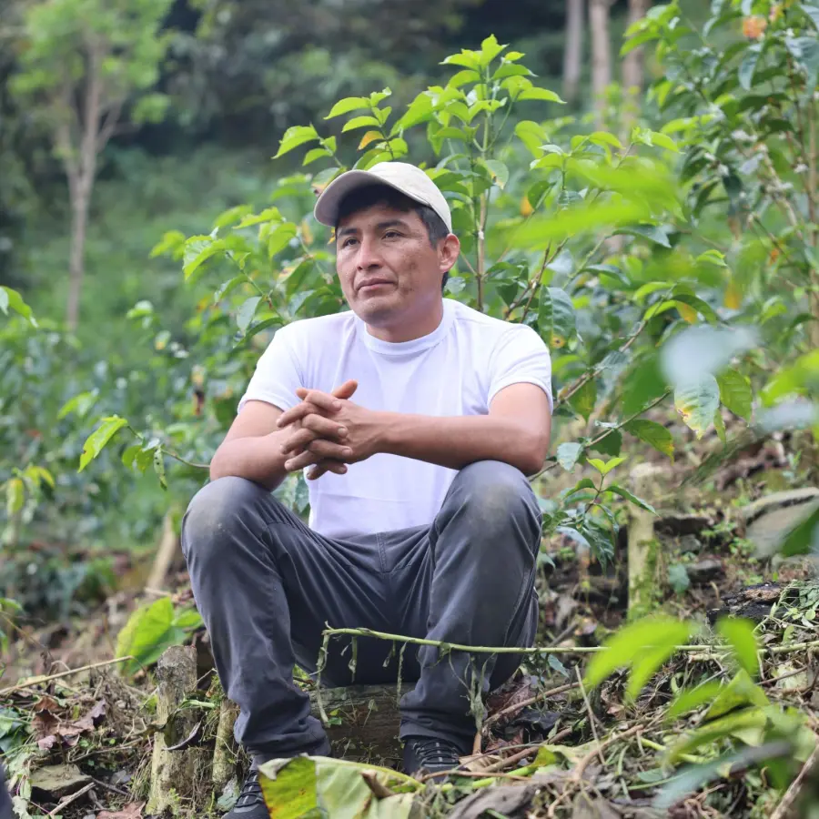 Légendes - José Prudencio Vargas - El Mirante - Peru | Coffee Lands | Online Store