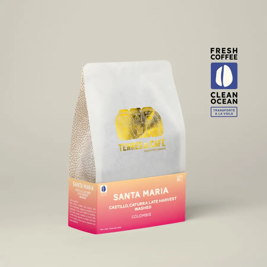 Speciality coffee | Finca Santa Maria Caturra coffee – Washed | Online shop