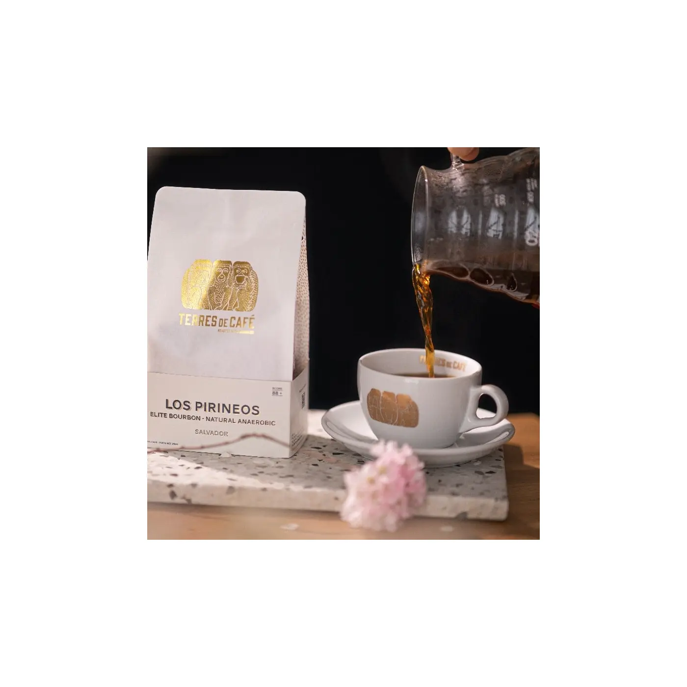 Cappuccino porcelain cup and saucer - 18cL