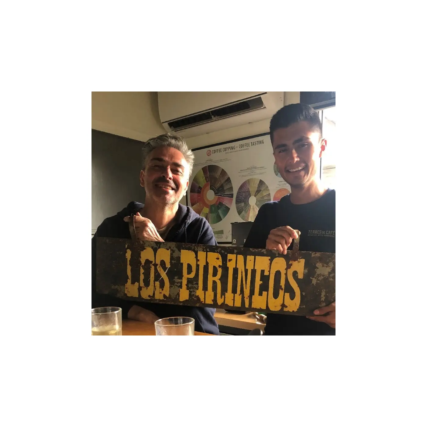Specialty coffee by Terres de Café - Coffee Los Pirineos - Pacamara