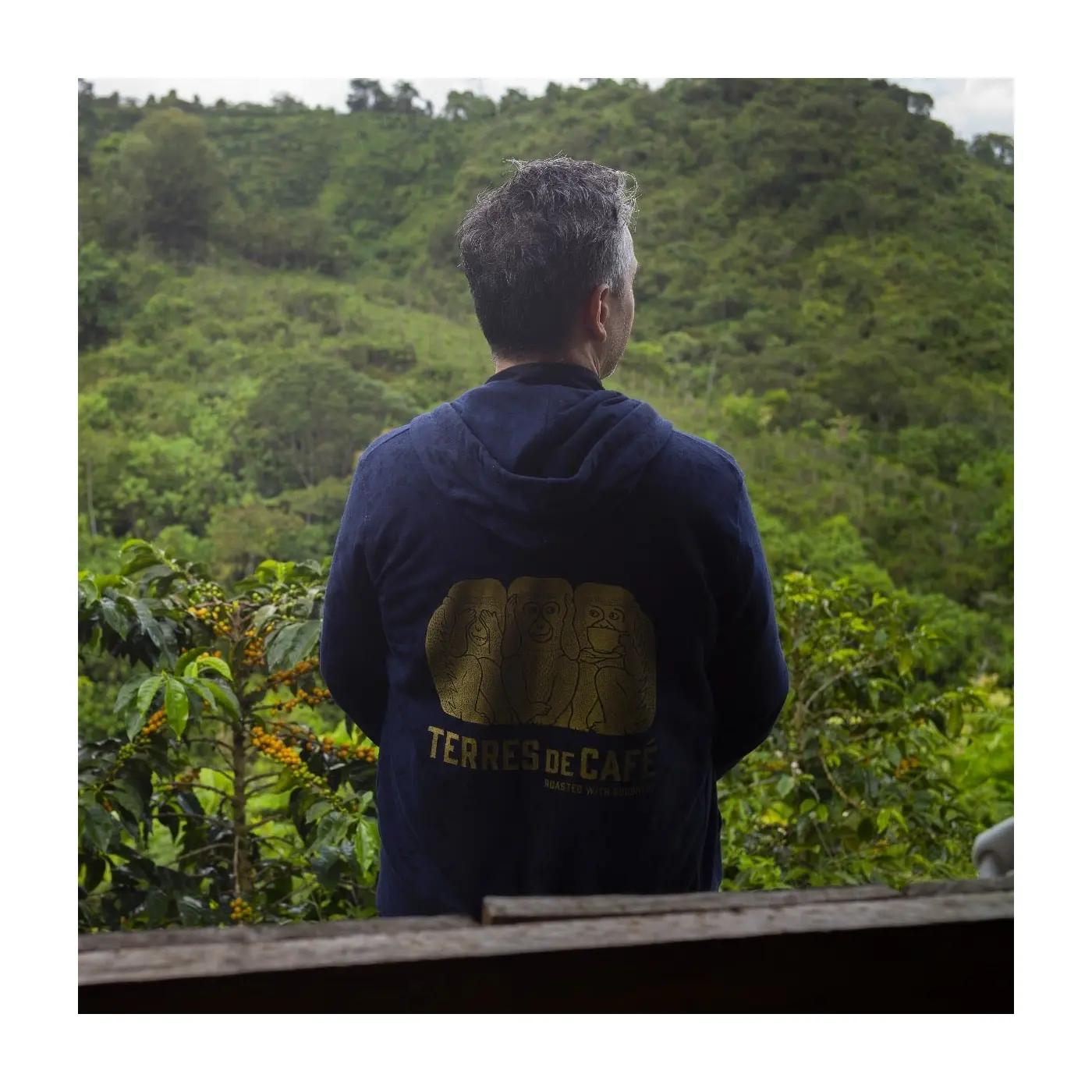 Café Bourbon South Huila | Café de spécialité I Vente en ligne
