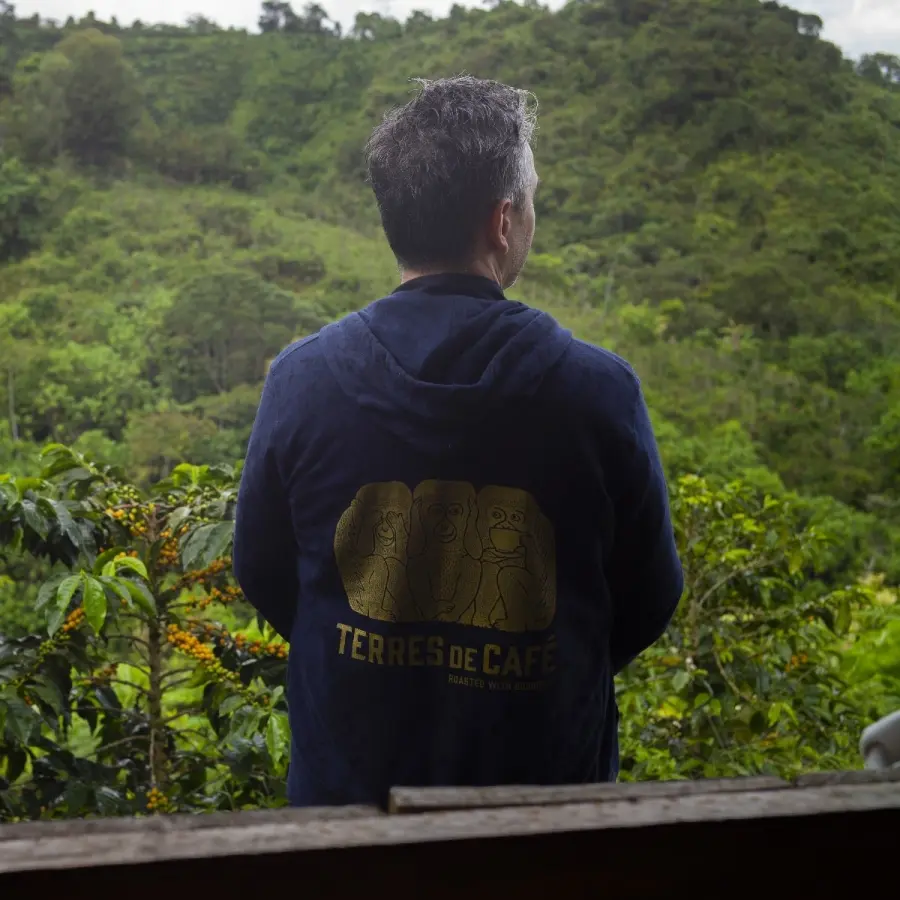Specialty coffee by Terres de Café - Coffee Bourbon South Huila