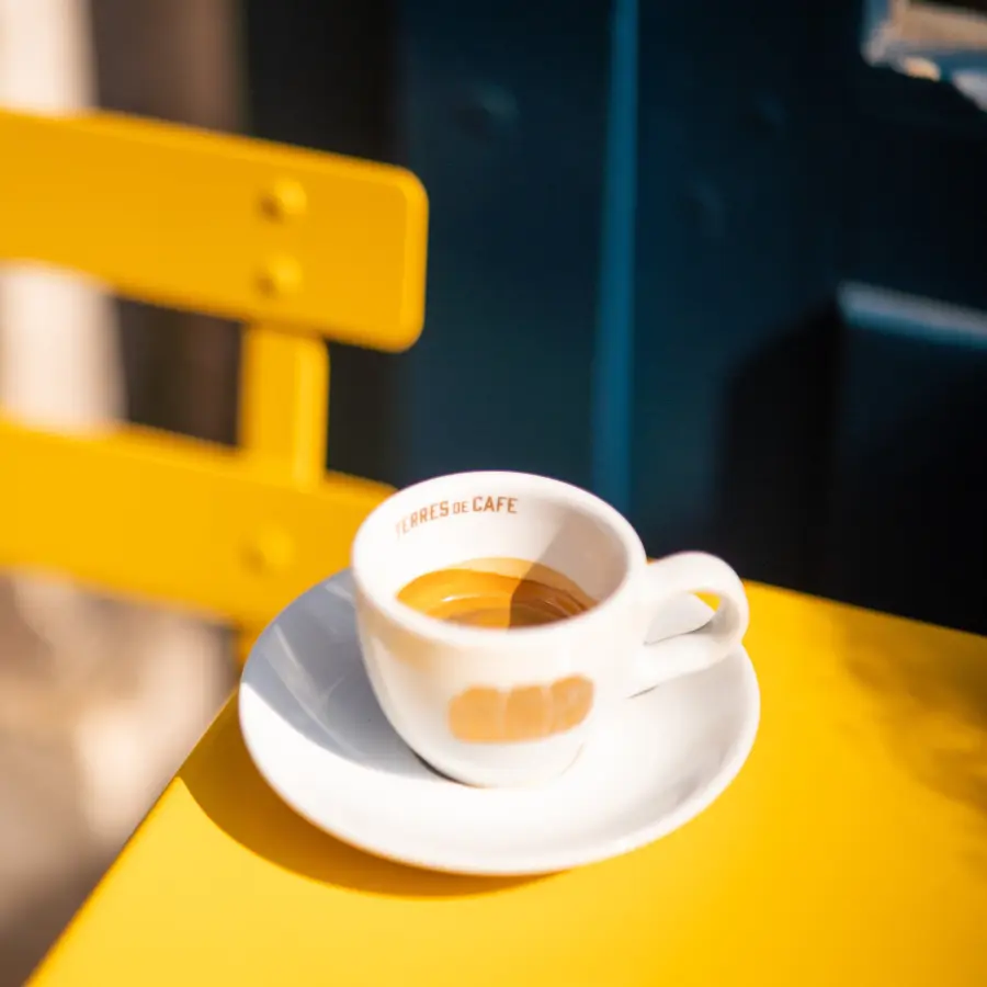 Specialty coffee by Terres de Café - Capsules Home-Compostable Jaen decaffeinated x100
