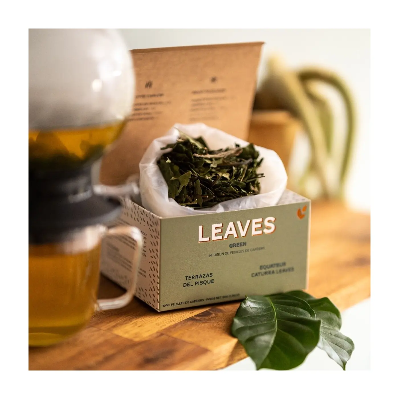 Leaves| Terrazas Del Pisque - Leaves Green| Buy Online