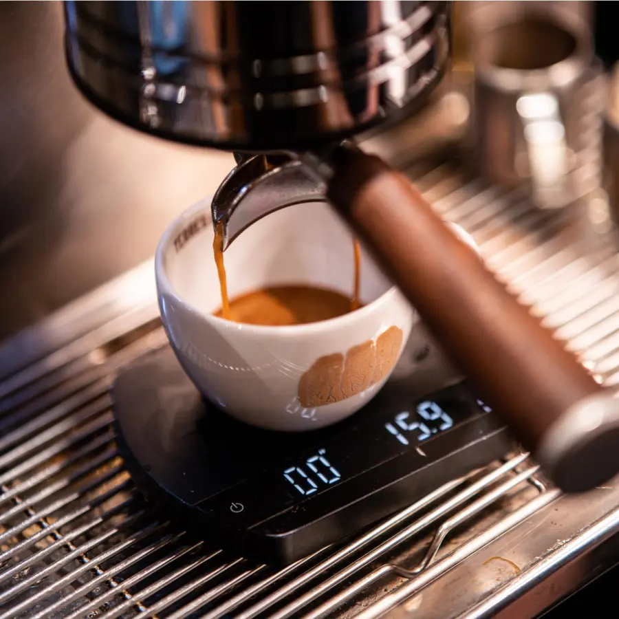 Atelier Formation Café - Expresso fondation | Vente en Ligne