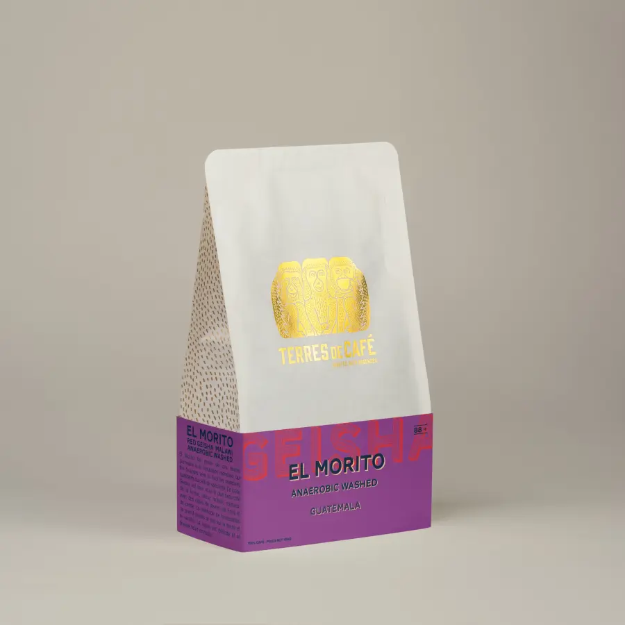 café de spécialité Terres de café - Café El Morito - Geisha Anaérobique Lavé