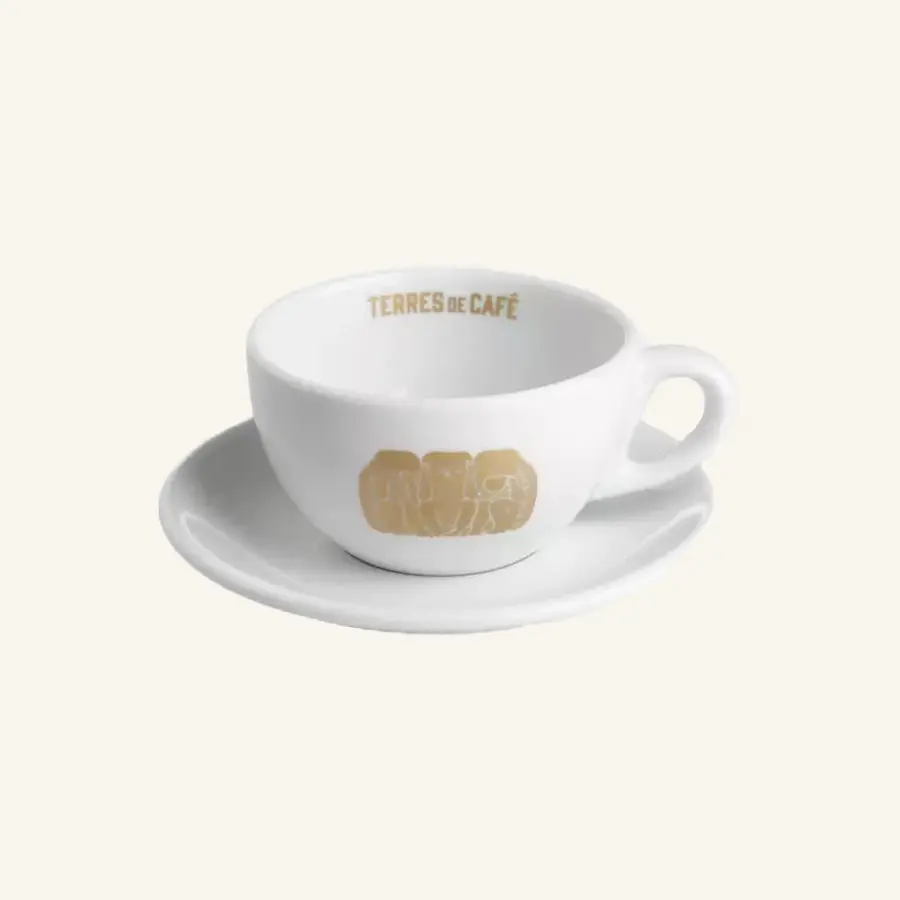 Cappuccino porcelain cup and saucer - 18cL