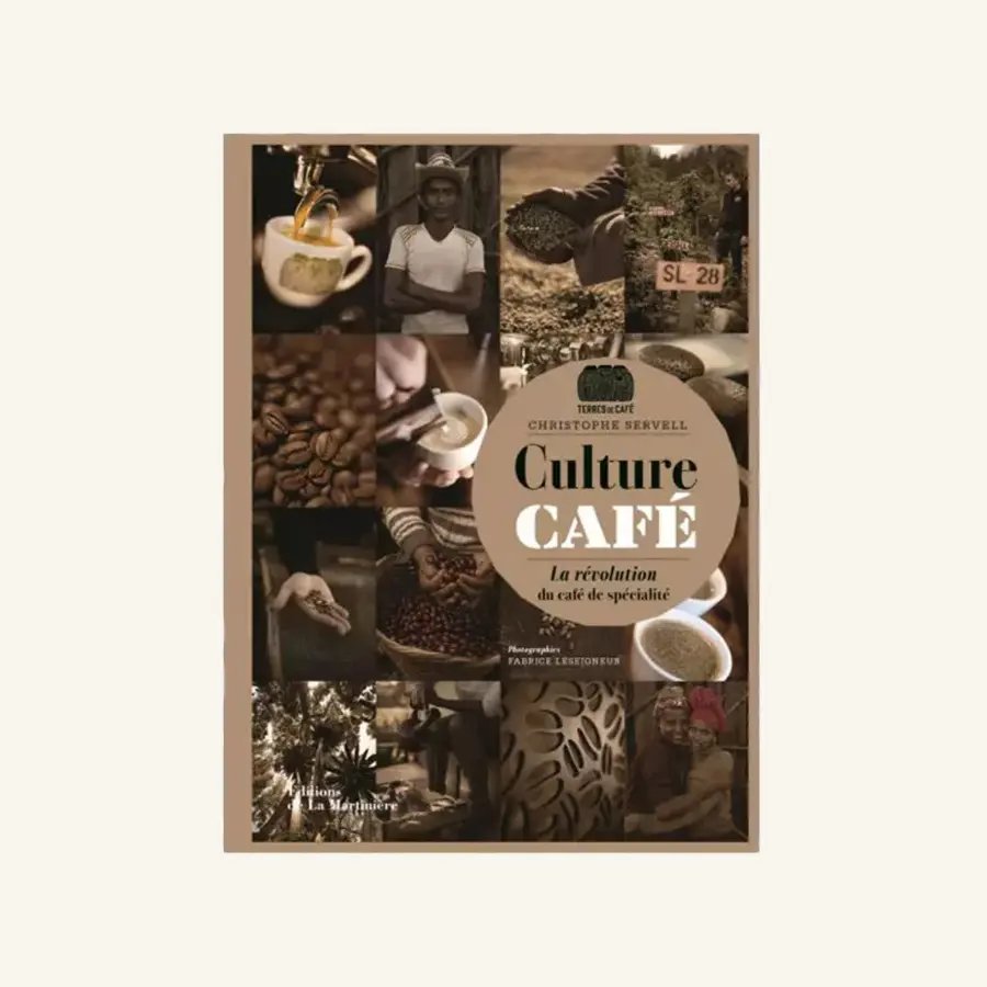 Culture Café la Révolution du café de spécialité
