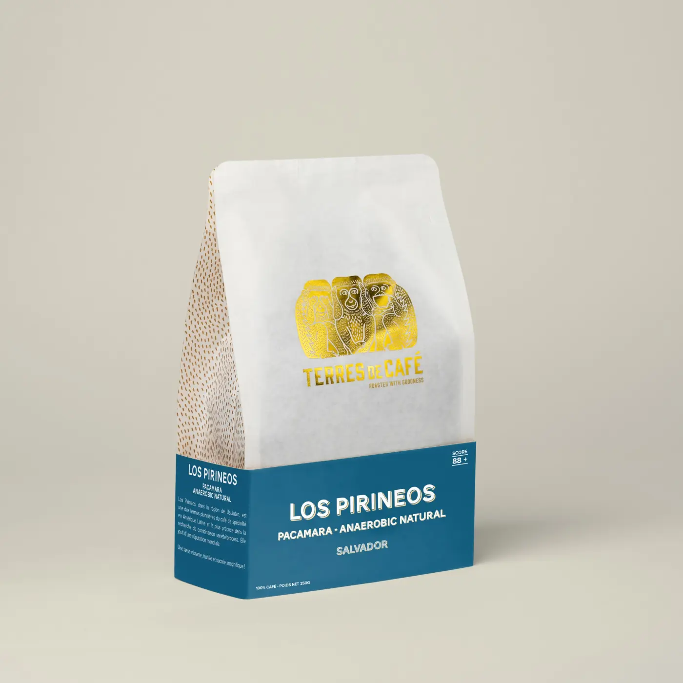 café de spécialité Terres de café - Café Los Pirineos - Pacamara