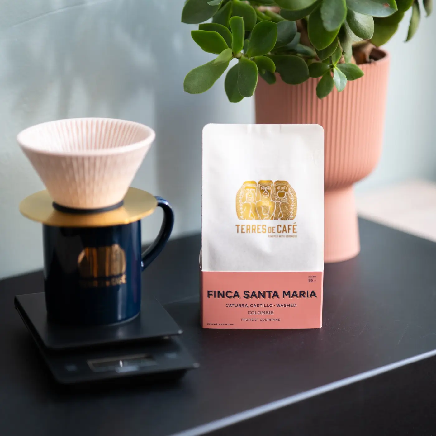 Café Finca Santa Maria Caturra - Lavé | Café de spécialité | Vente en Ligne