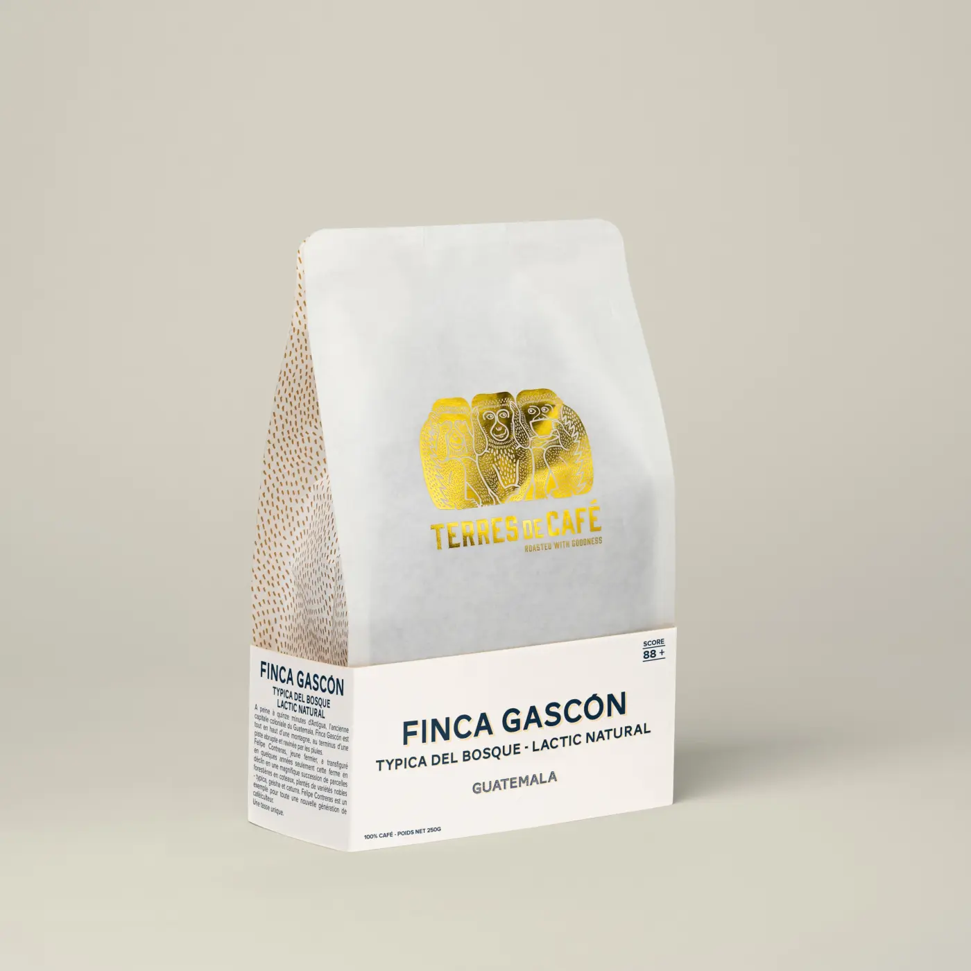 café de spécialité Terres de café - Café Finca Gascón Typica Del Bosque Lactic Natural