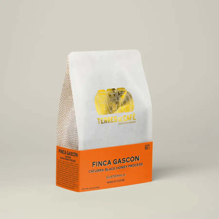 café de spécialité Terres de café - Café Finca Gascón Caturra Black Honey Process