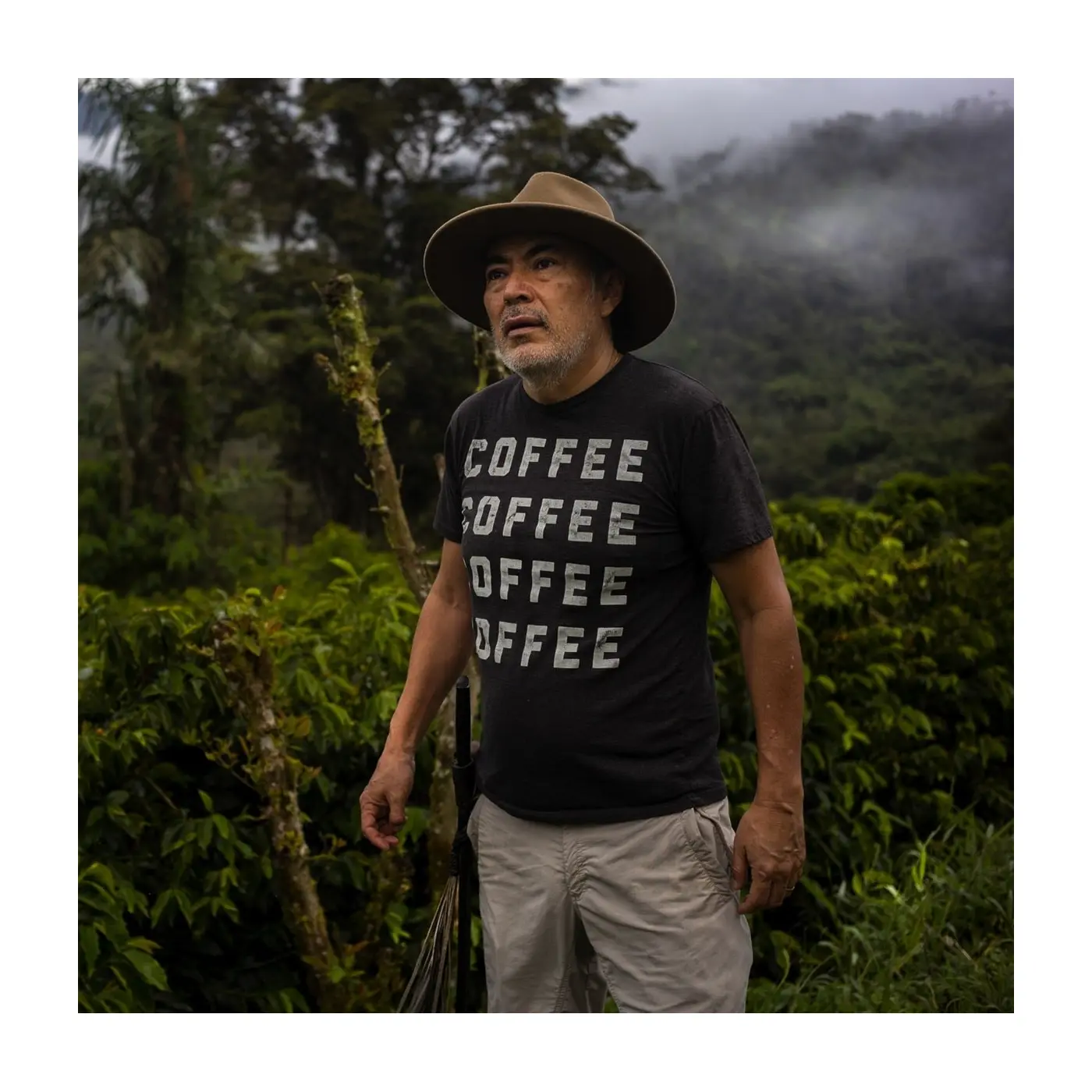 Specialty coffee by Terres de Café - Coffee La Josefina - Typica mejorado washed