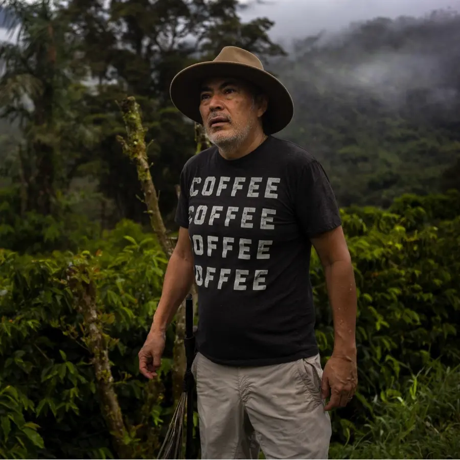 Specialty coffee by Terres de Café - Coffee La Josefina - Typica mejorado washed