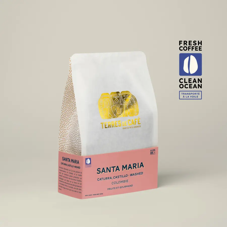 Café Finca Santa Maria Caturra - Lavé | Café de spécialité | Vente en Ligne