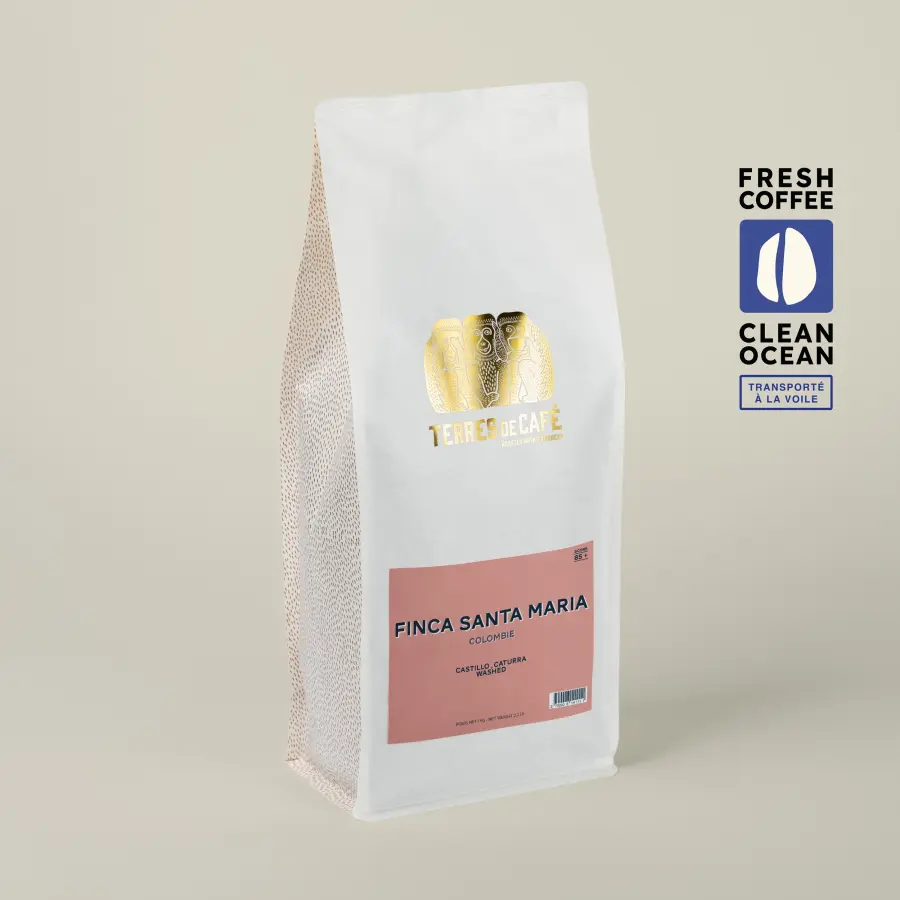 Coffee Finca Santa Maria Caturra Washed - KG | Speciality Coffee | Buy Online