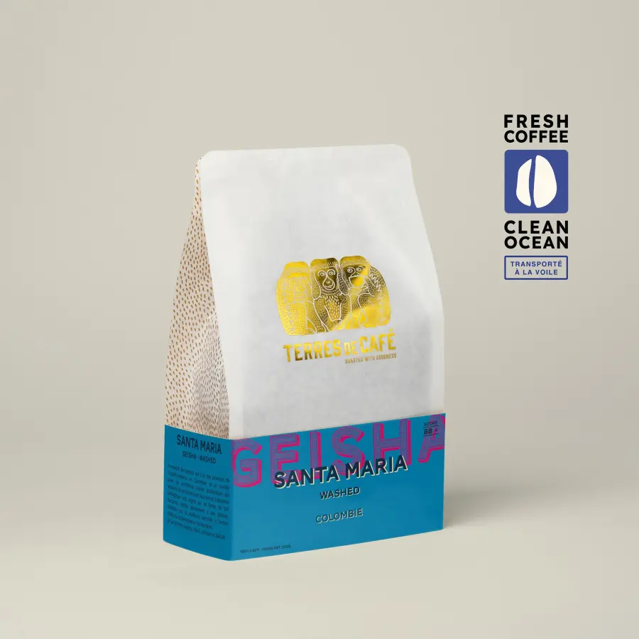 Coffee Finca Santa Maria Geisha Washed | Speciality Coffee | Buy Online