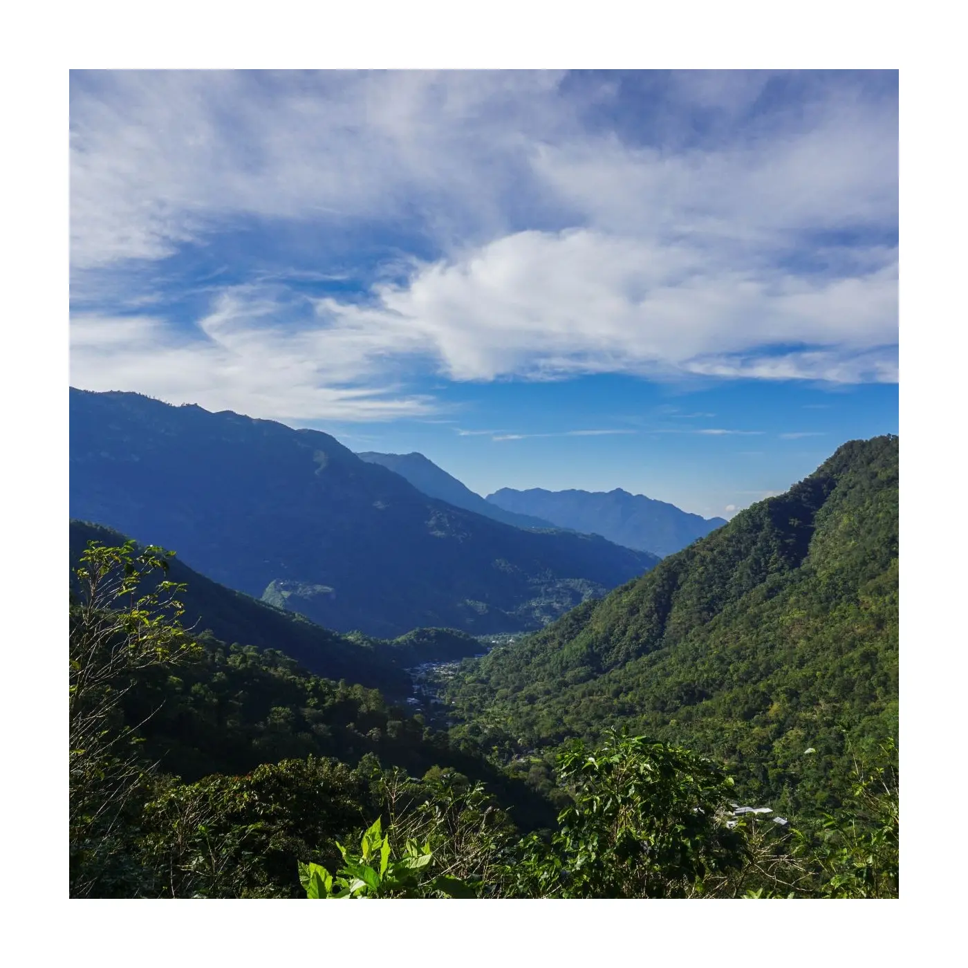 Specialty Coffee | Coffee Marcelino Peréz - Natural | Buy Online