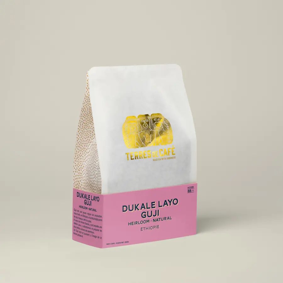 Café de spécialité | Café Dukale Layo Guji | Vente en Ligne