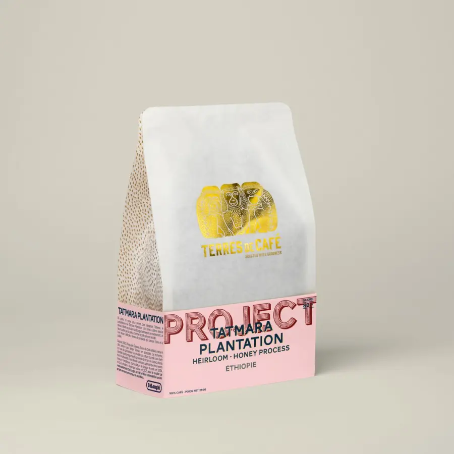 Specialty coffee in beans or ground | Tatmara Wush Wush Honey Process - Buy Online