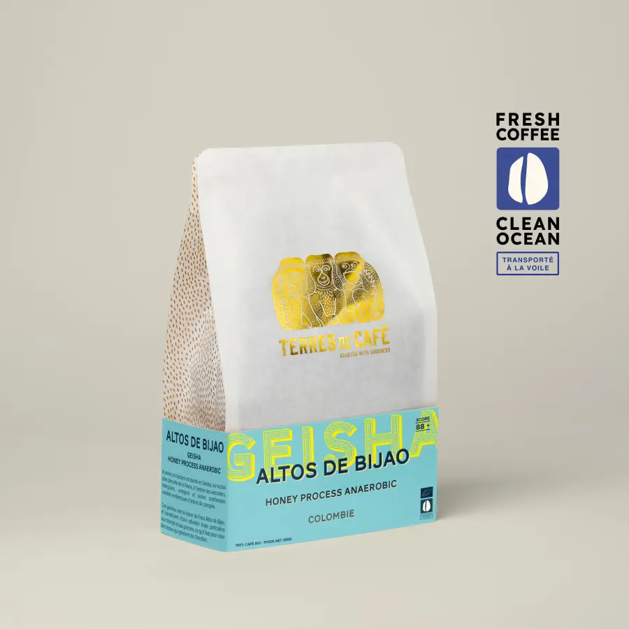 Café de spécialité I Café Altos de Bijao Geisha | Vente en ligne