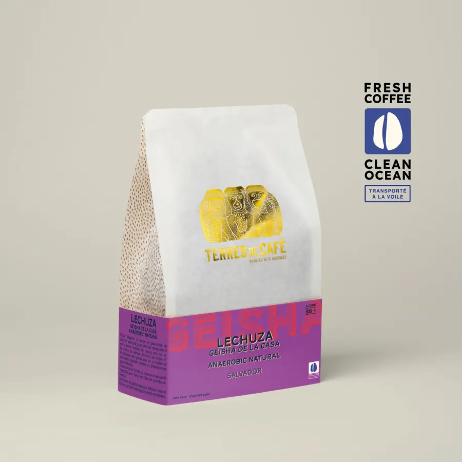 Specialty coffee in beans or ground | Coffee Lechuza Geisha | Buy Online