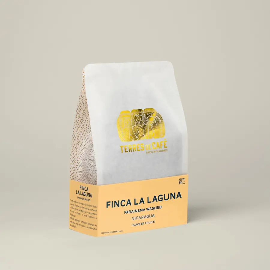 Mombacho 250 g | Beans & Ground Specialty, Gourmet Coffee - Buy Online