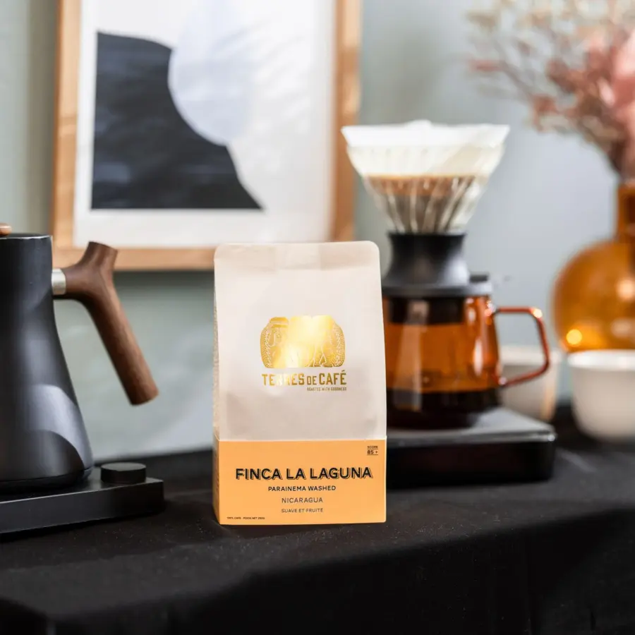 Café de spécialité | Café Finca la Laguna - Parainema Washed | Vente en Ligne