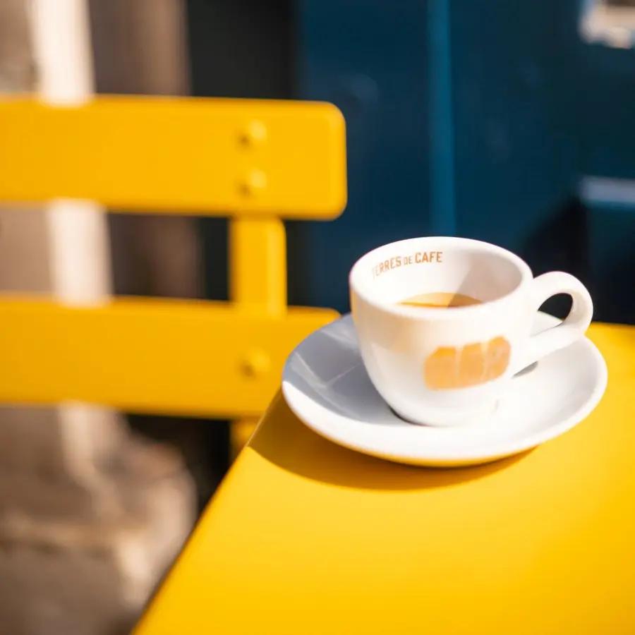 Coffee Barista kg | Speciality Coffee | Buy Online