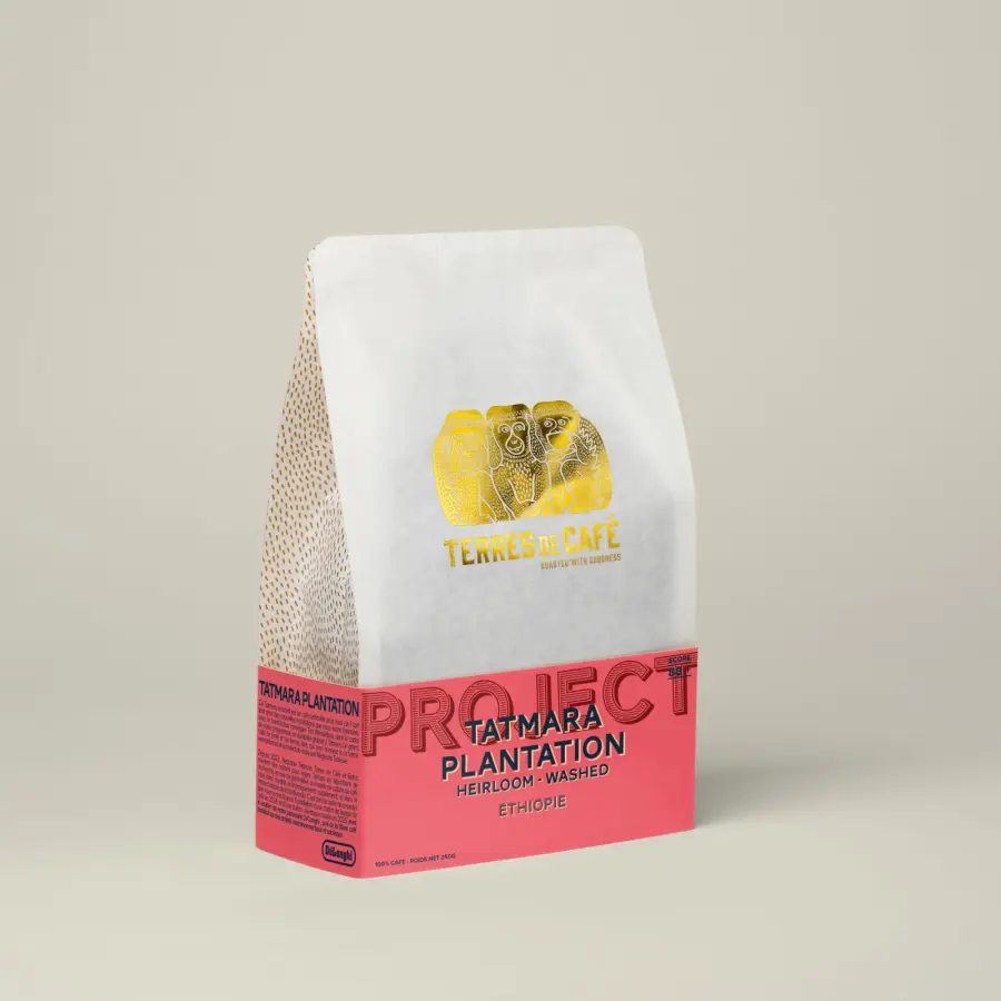 Coffee Tatmara Plantation - Washed| Speciality Coffee | Buy Online