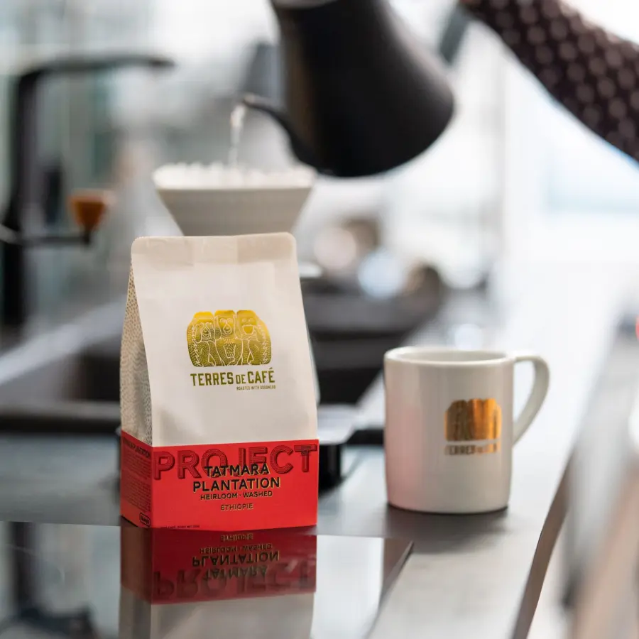 Coffee Tatmara Plantation - Washed| Speciality Coffee | Buy Online