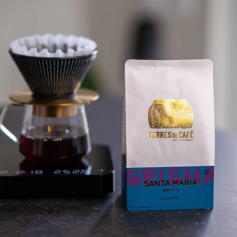 Café Finca Santa Maria Geisha Lavé | Café de spécialité | Vente en Ligne