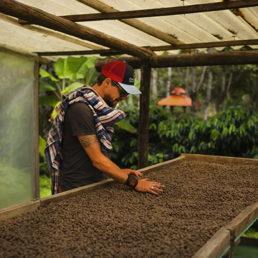 Speciality Coffee |Coffee Finca Soledad | Buy Online