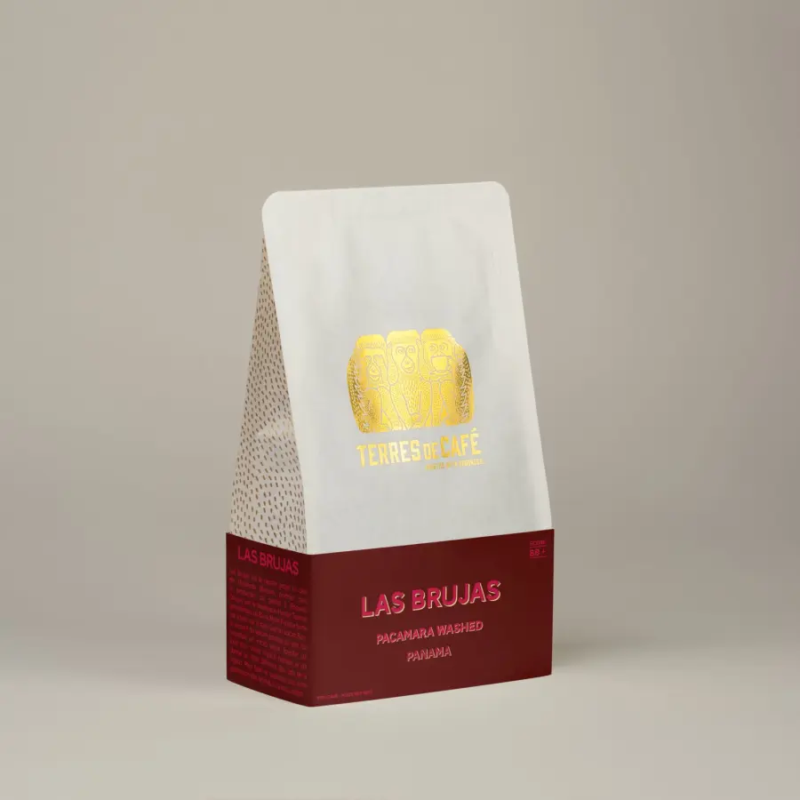 Specialty Coffee | Las Brujas Pacamara Washed Coffee | Online Sales