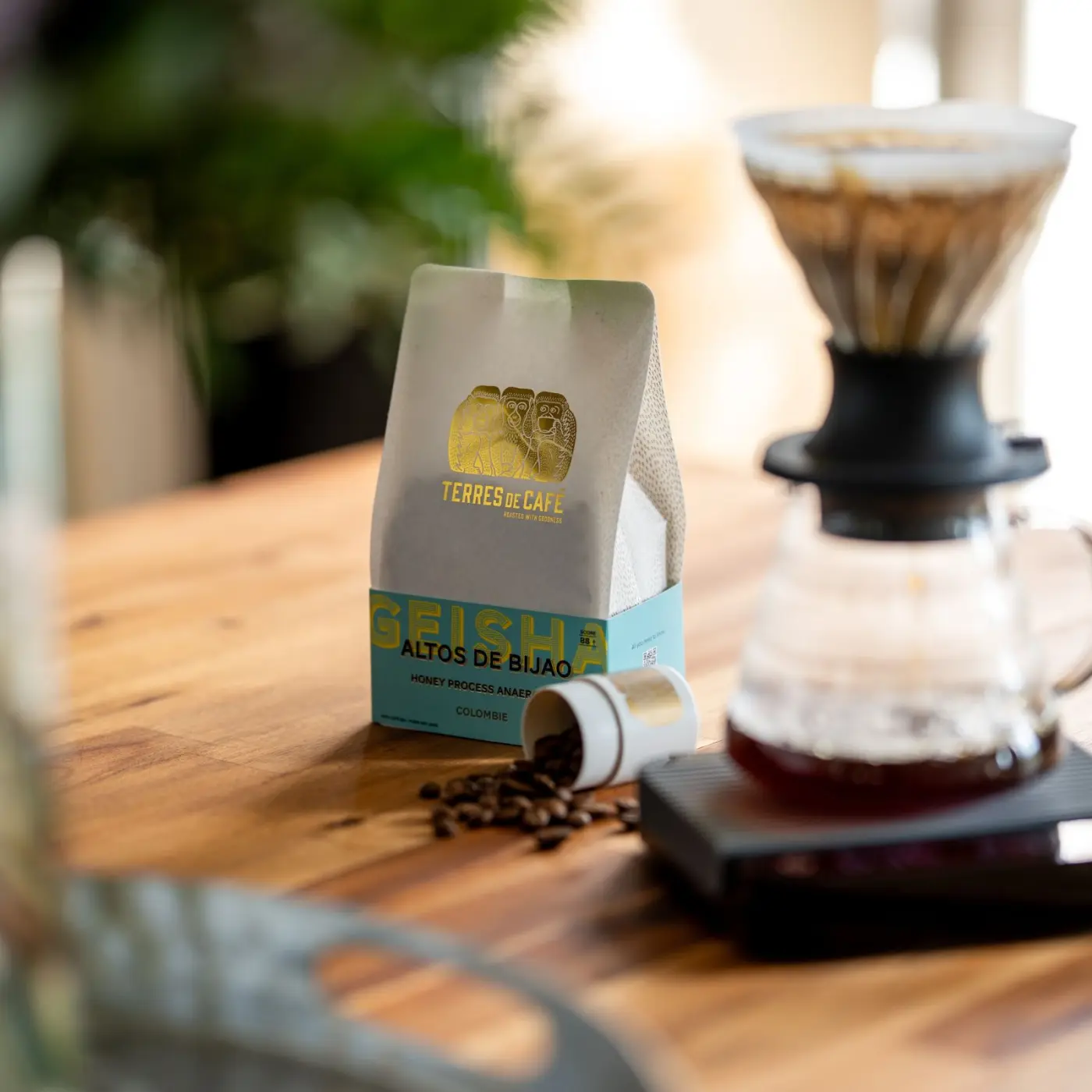 Specialty Coffee I Altos de Bijao Geisha Coffee | Online Sales