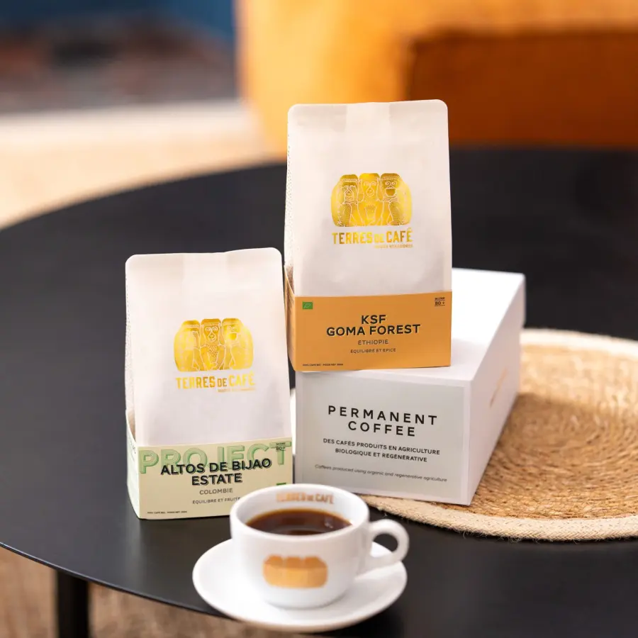 Speciality Coffee | Batch Permanent Coffee| Terres de Café