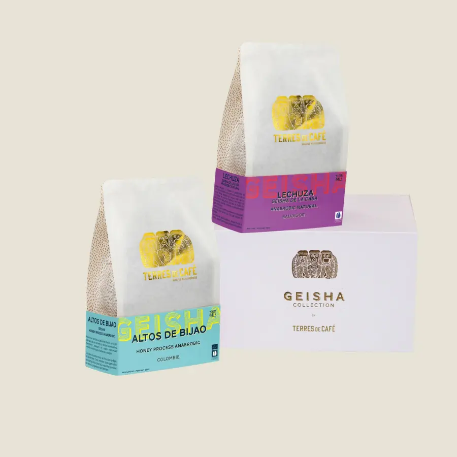 Speciality Coffee | Batch Geisha | Terres de Café