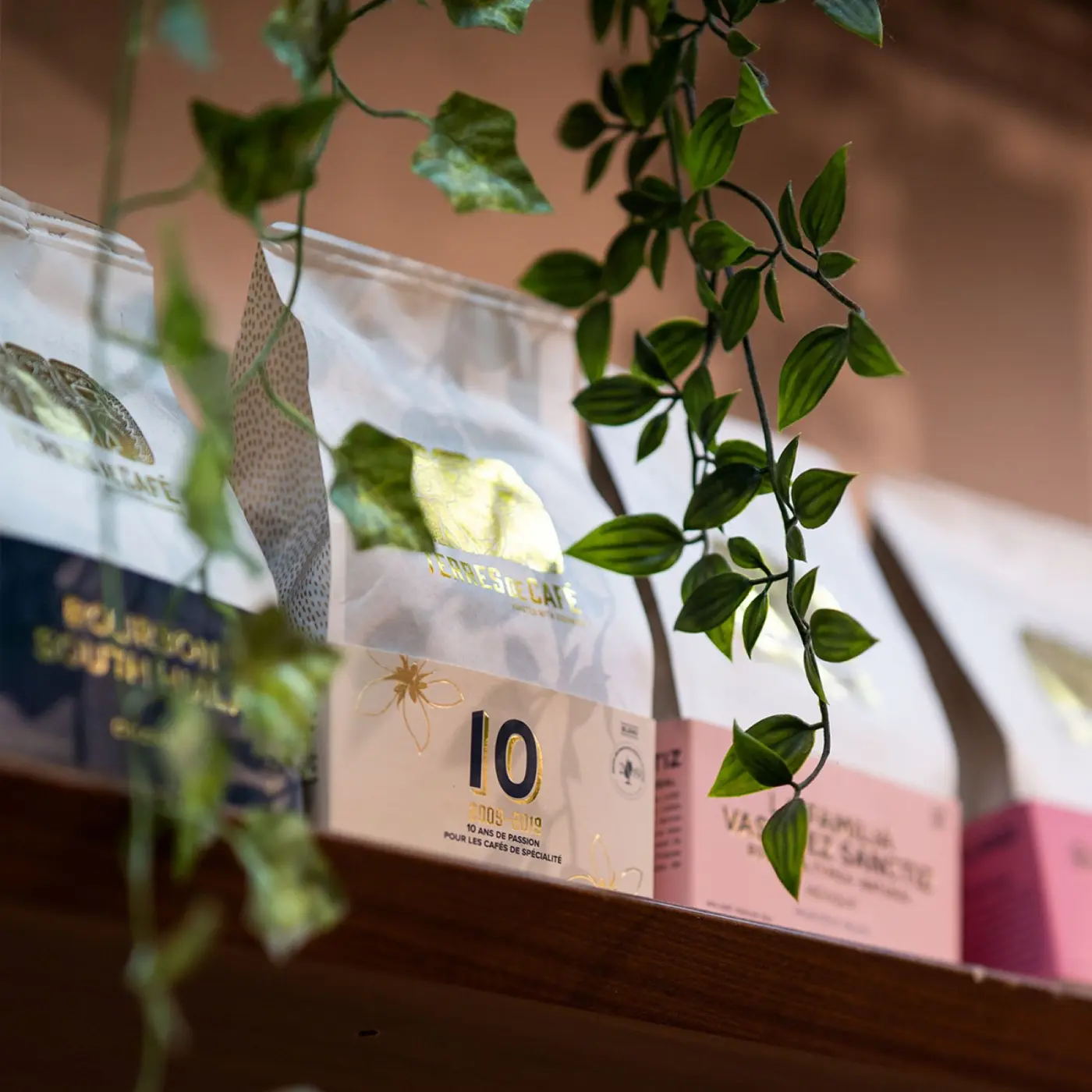 10 Blend 250 g | Beans & Ground Specialty, Gourmet Coffee - Buy Online