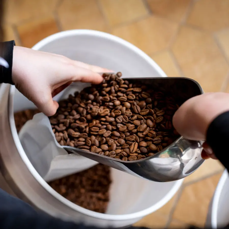 Café Organic Expresso Blend |Café de spécialité | Vente en Ligne