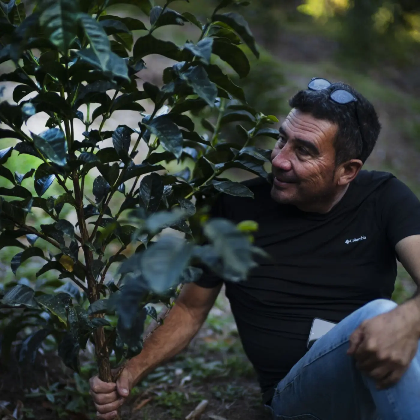 Legends - Ratibor & Tessie Hartmann - Mi Finquita - Geisha Natural | Coffee Lands | Online Sales