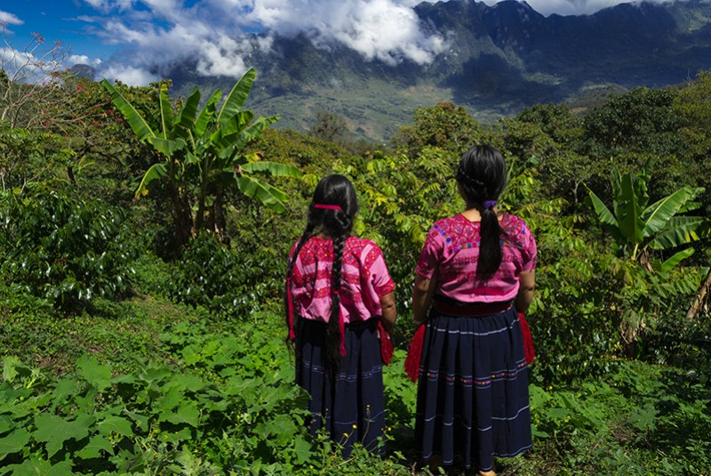 CHIAPAS HIGHLANDS