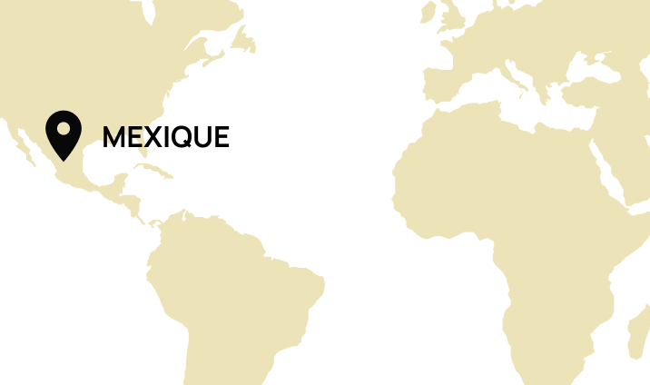 Origine Mexique